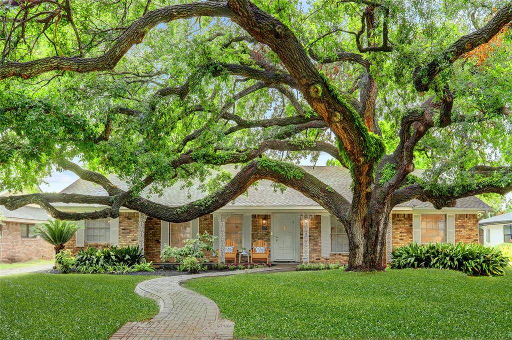 Front elevation with classic colonial style, tile front porch, and artful paver sidewalk. Incredible 50+ year-old Live Oak.  Note: the turf is virtually enhanced.