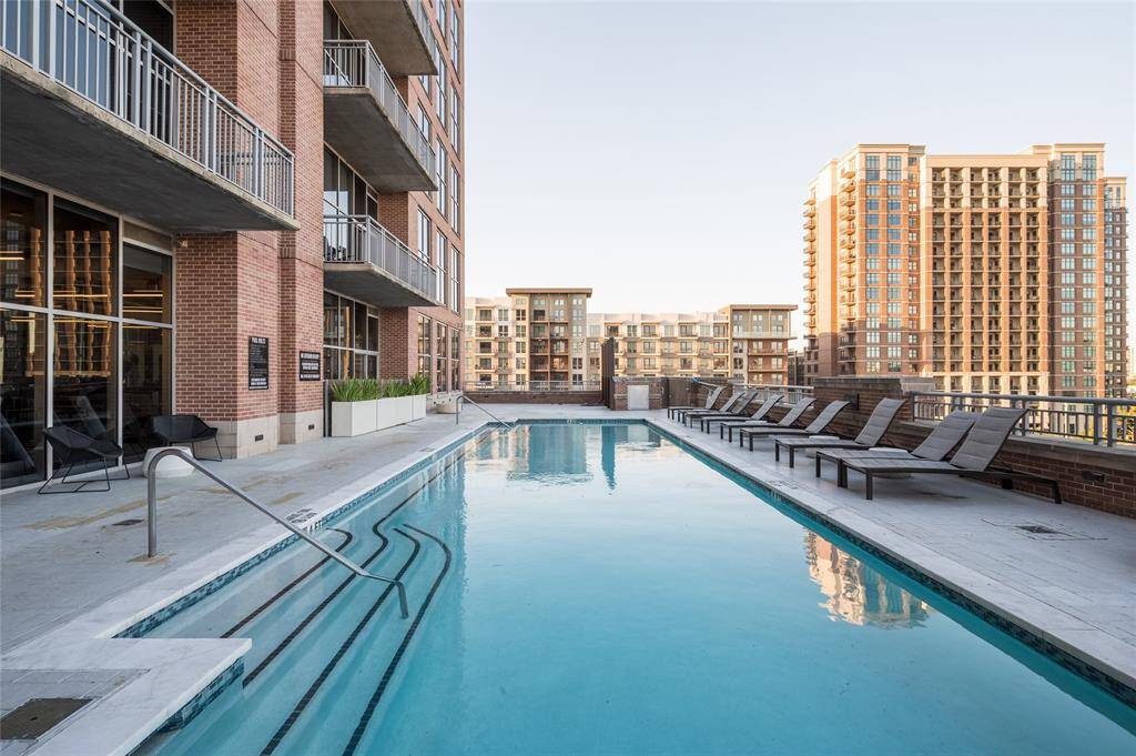 Gorgeous recently renovated gunite heated pool.