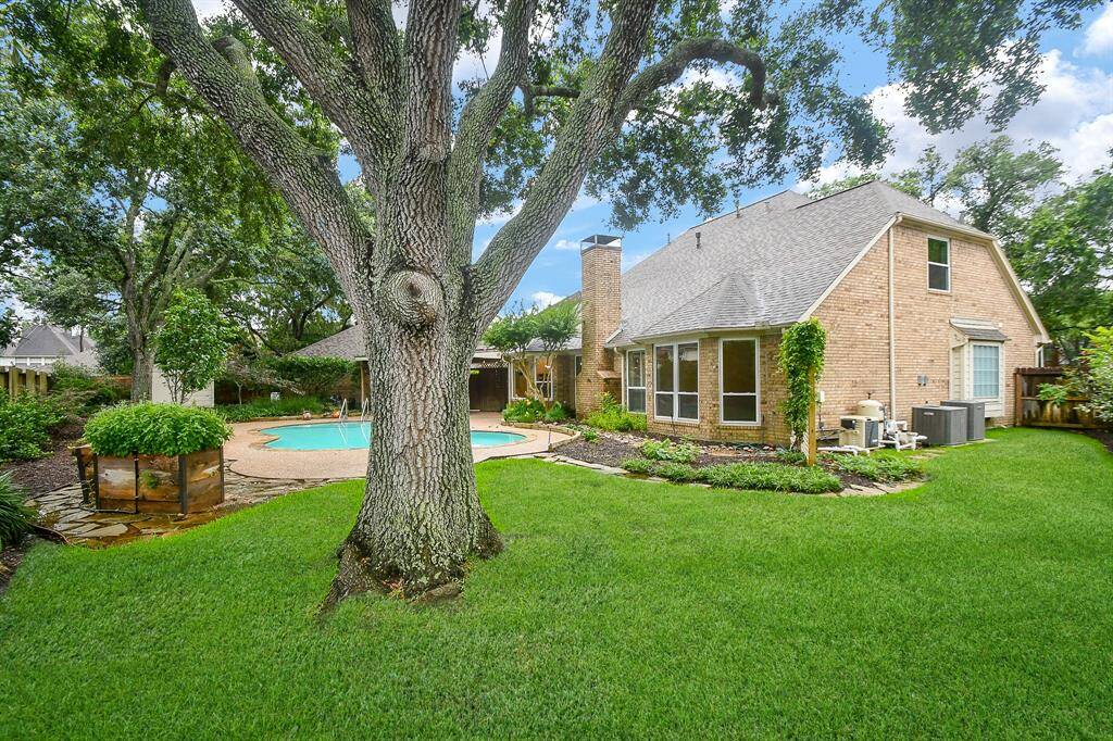 Most definitely a Huge Yard!