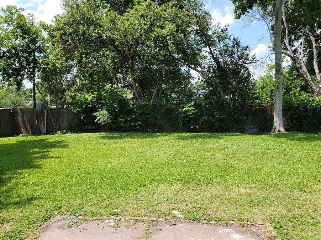 Large Backyard