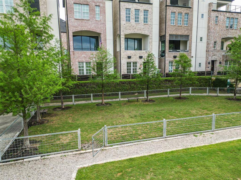 1 of 2 fenced in dog parks