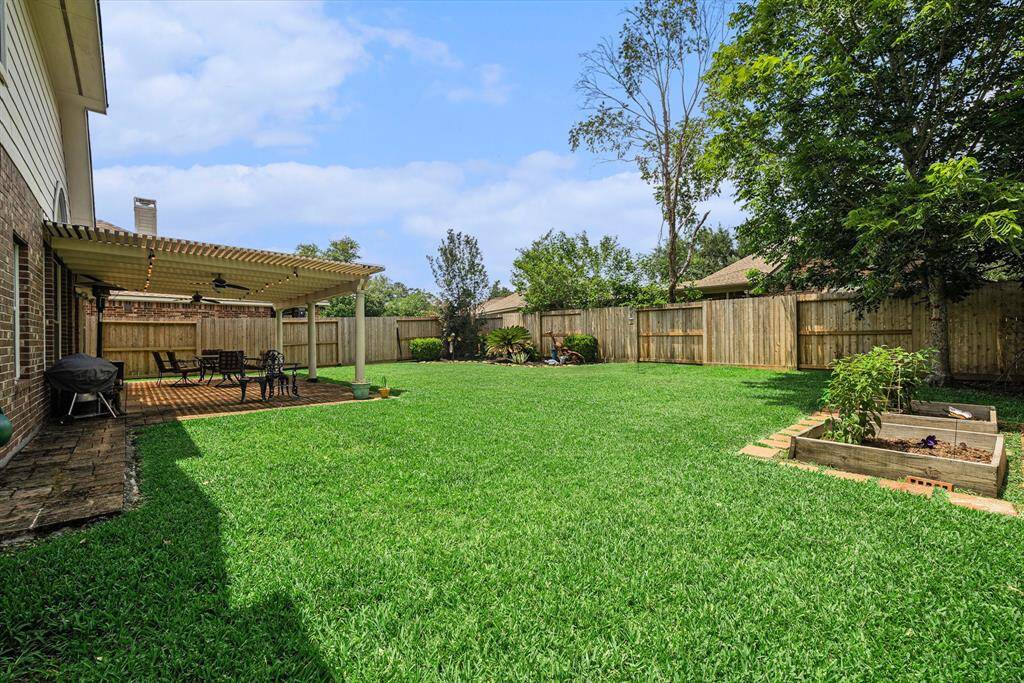 Come check out this Yard!