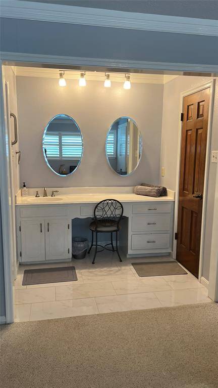 Primary bathroom with vanity.