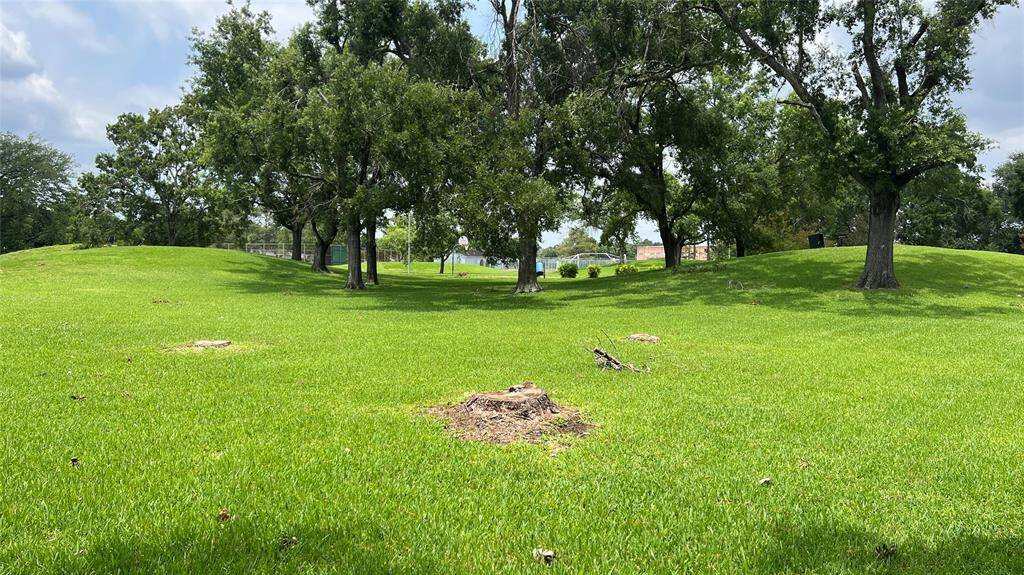 Just a view of the park!