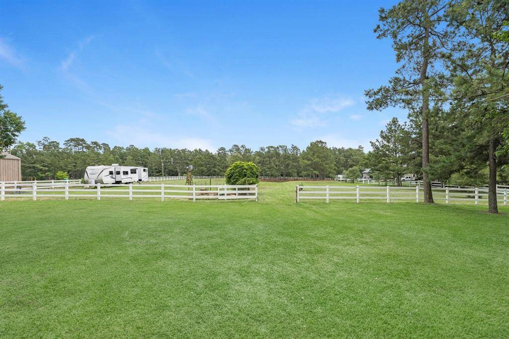 Lots of grass to play