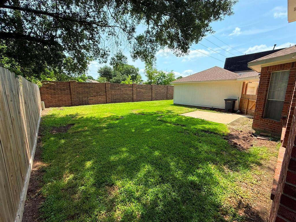 Backyard Fully Fenced