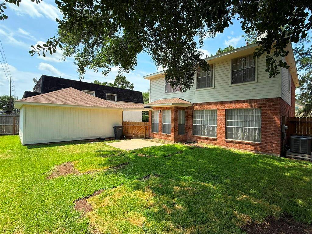 Backyard Fully Fenced
