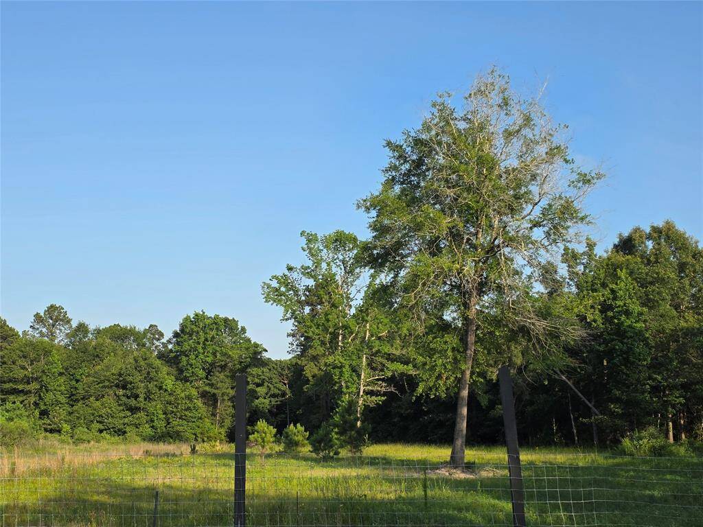 BEHIND THE FENCE YOU CAN SEE THE MATURE TREES WITH PLENTY SPACE FOR RIDING A HORSE