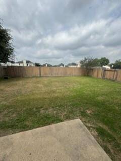 Another View of HUGE Backyard