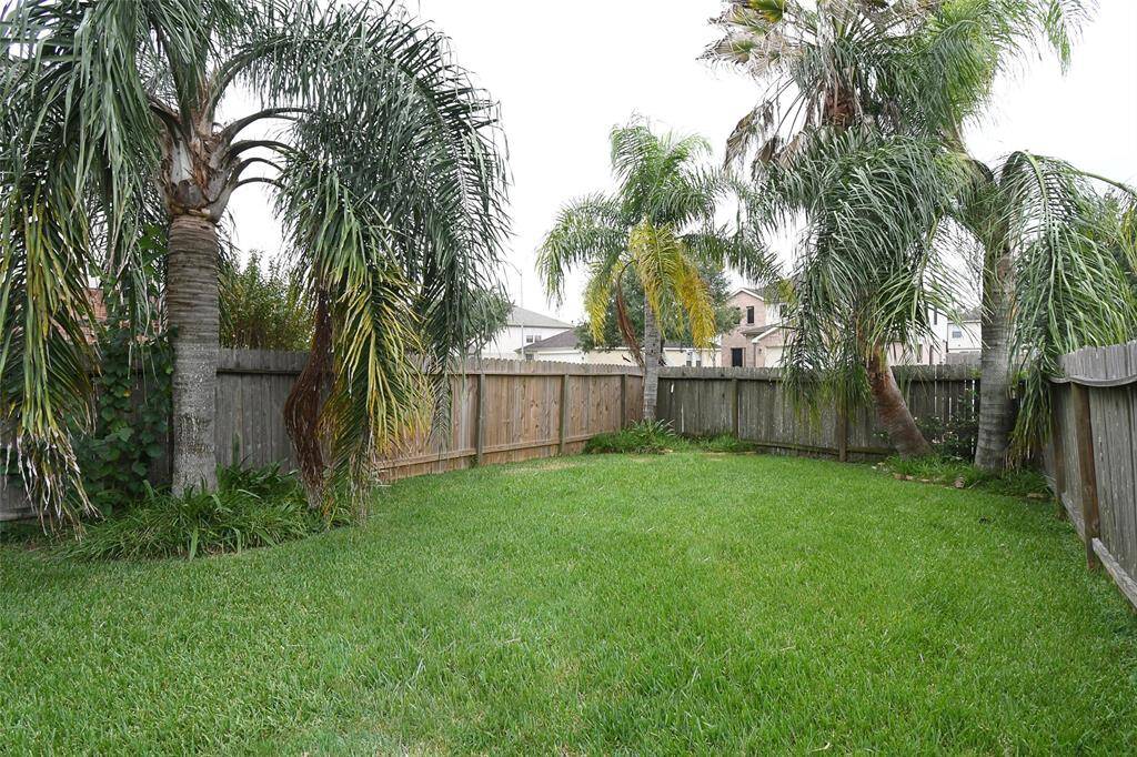 Extra wide back yard is lined with tropical palm trees and greenery.
