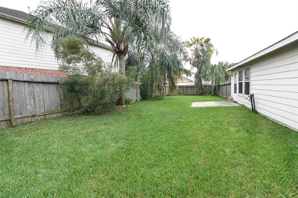 View from the back yard gate shows the huge width of the back yard space.