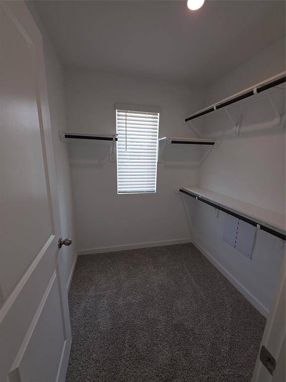 Primary Bedroom walk-in Closet