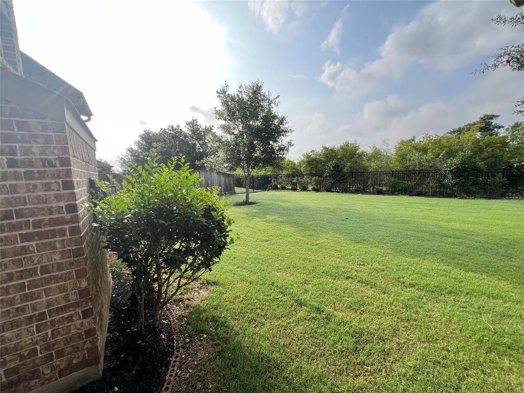 Back yard