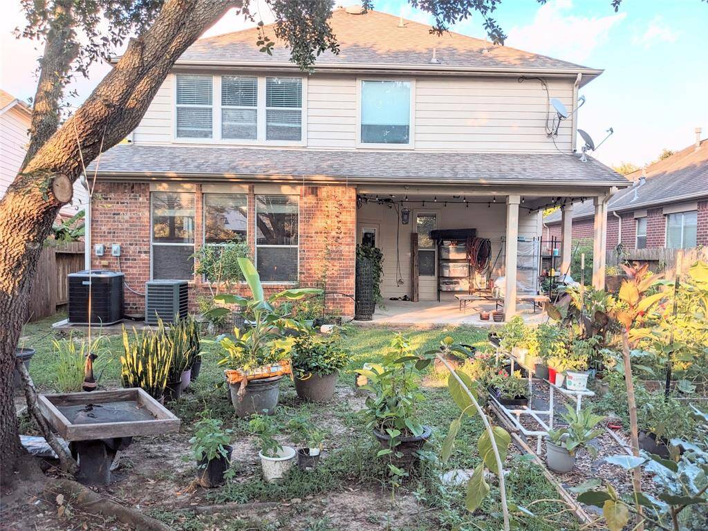 Nice backyard with garden beds