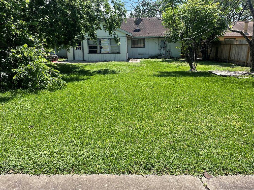 View from back door