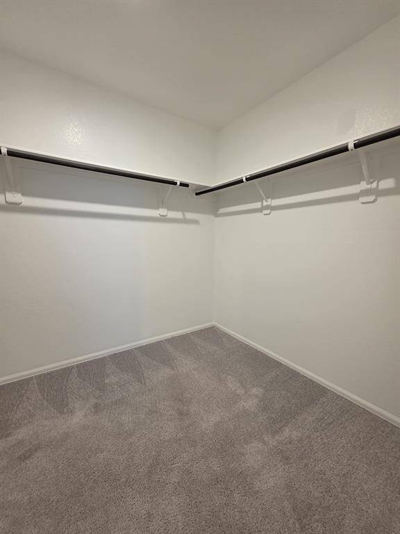 large primary closet