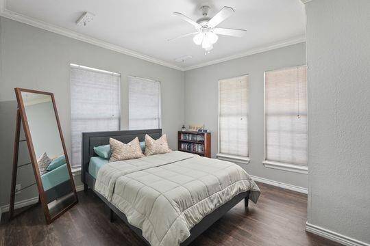Plenty of windows and natural light
