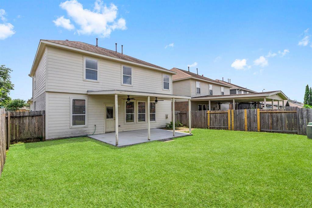 Low Maintenance Backyard