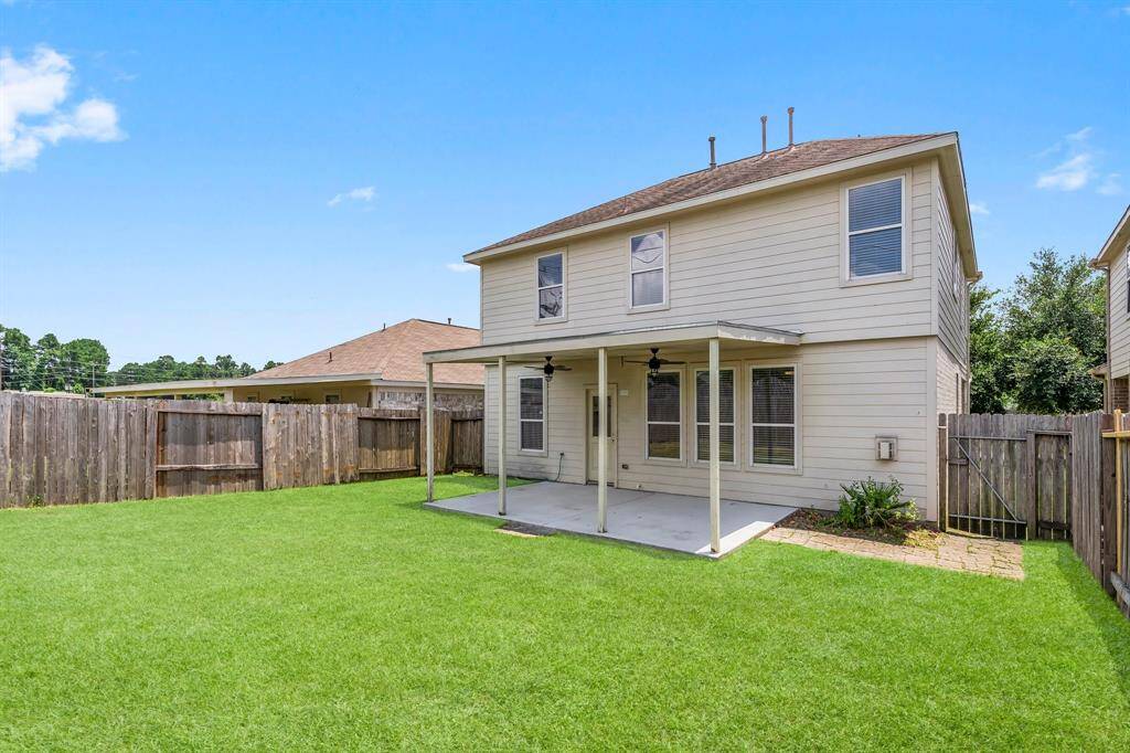 Spacious Backyard