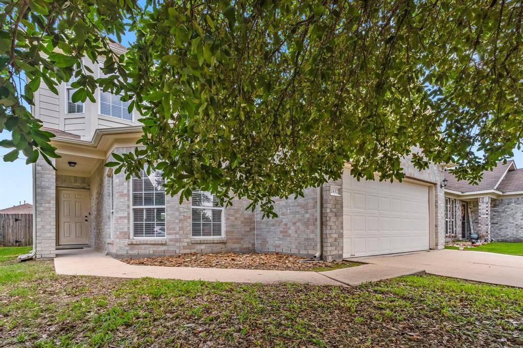Shaded Front Yard
