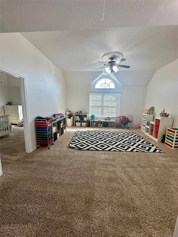 Game room / Den