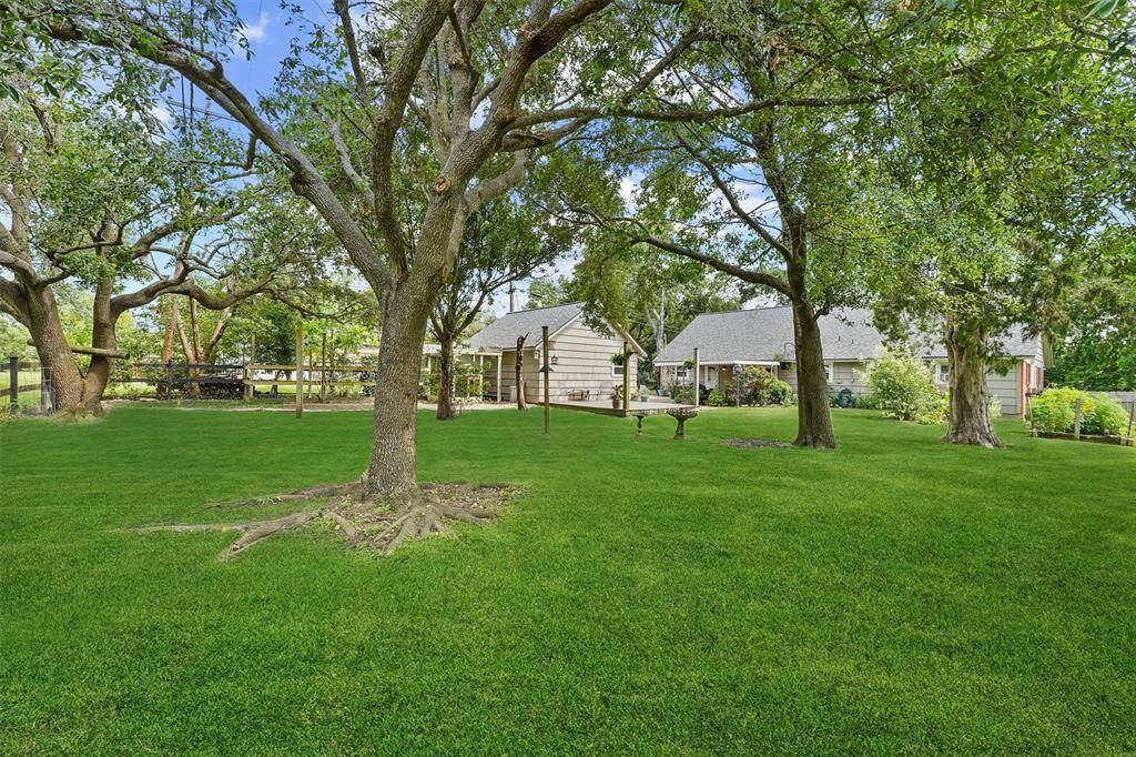 Spacious backyard shaded by mature trees—creating a serene outdoor retreat with plenty of room to relax, entertain, or play.