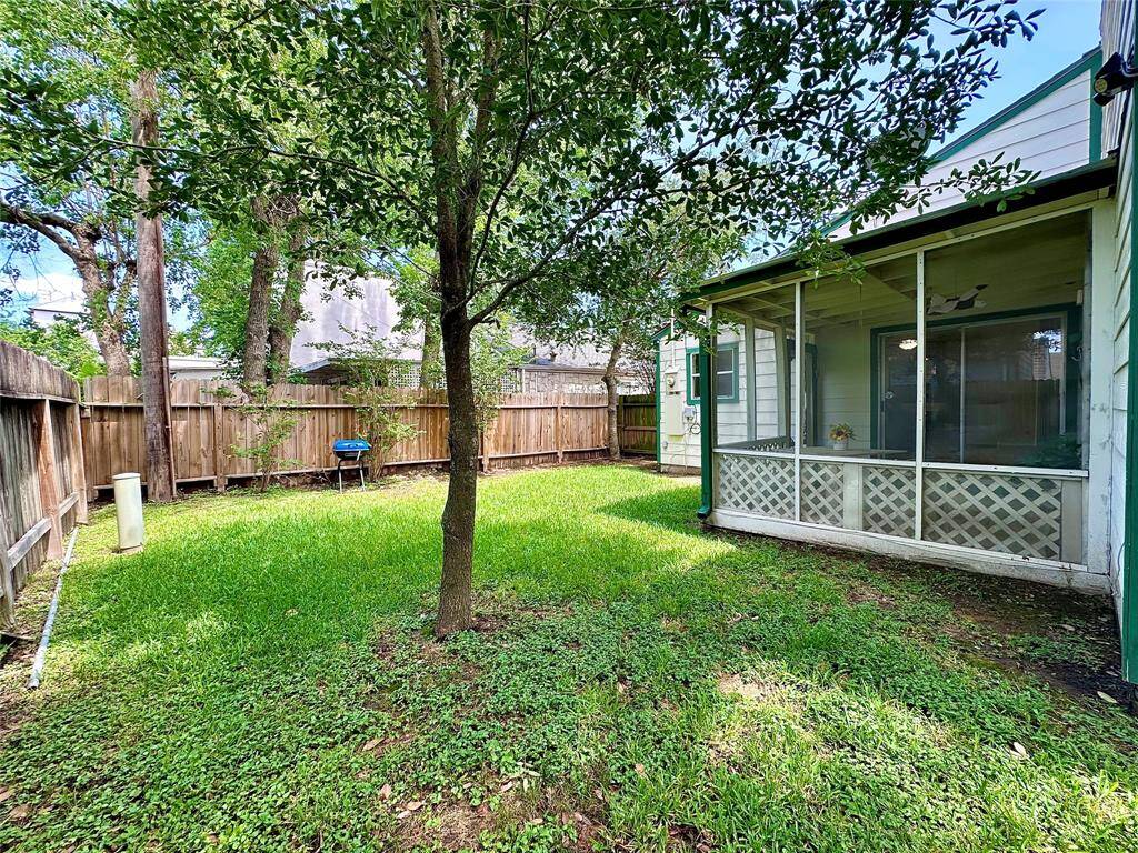 Backyard Side View