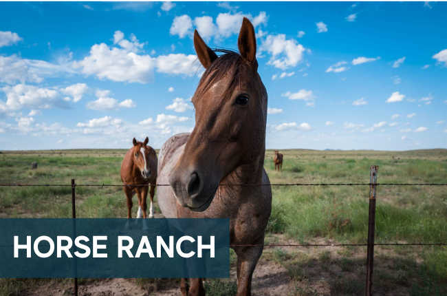 Houston Ranch